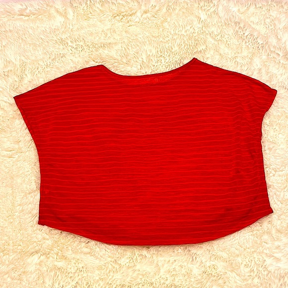 Lose, sheer fitting top. XS Seductions - Picture 2 of 2